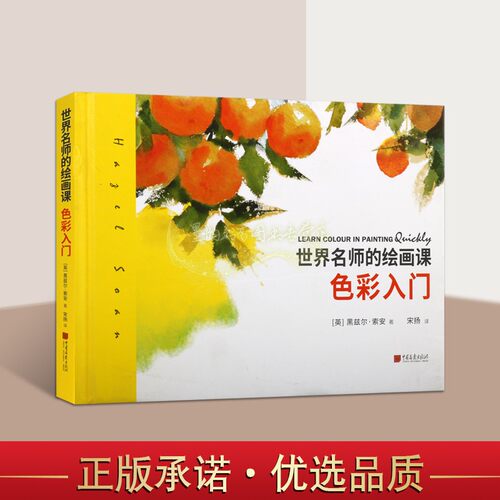 世界名师的绘画课色彩入门