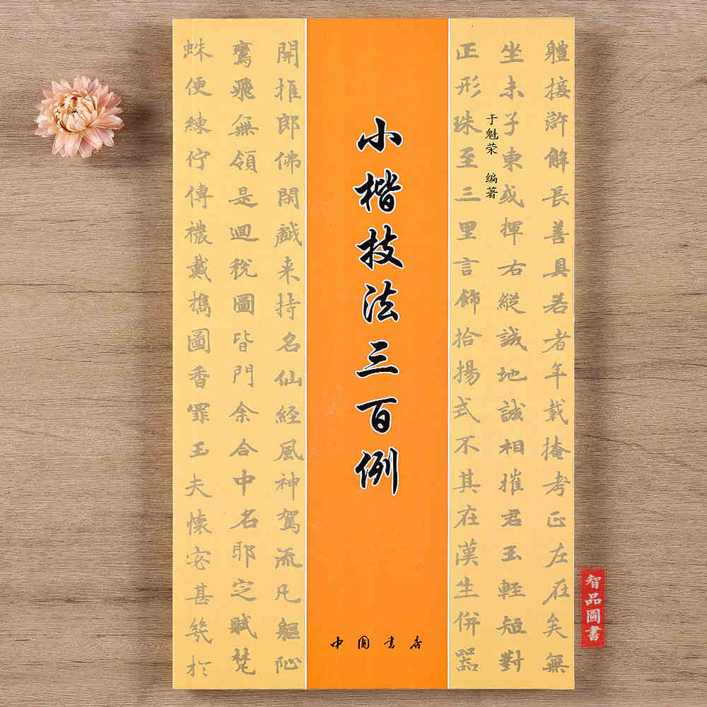 小楷技法三百例 于魁荣编毛笔小楷入门执笔运笔讲解偏旁部首讲解成人学生小楷书法练习字帖讲解 中国书店