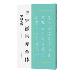 集宋徽宗瘦金体:宋词名篇 古代帝王宋徽宗赵佶瘦金体楷书书法作品集临摹字帖念奴娇定风波满江红水调歌头如梦令河南美术出版社