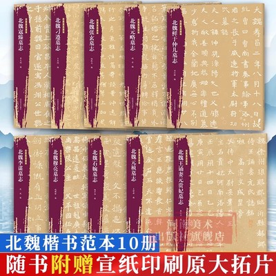 北朝墓志精选(全套10册)北魏楷书范本书法魏碑帖经典字帖临摹元桢元略刁遵穆亮寇臻石婉元贵妃张玄鲜于仲儿墓志【赠宣纸原大拓片】