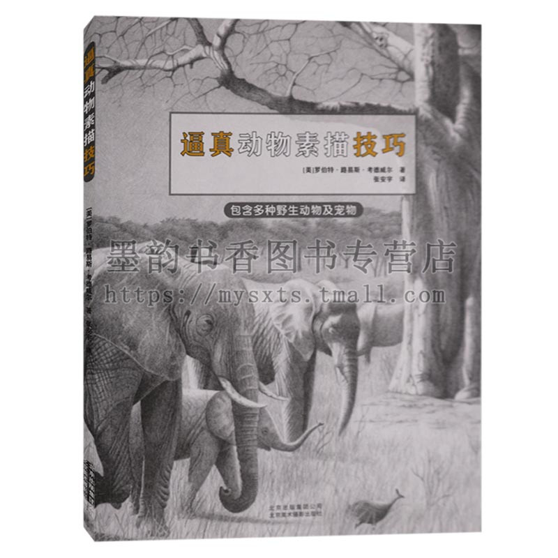 素描自学入门基础教程素描教材 零基础学素描画画 动物宠物毛发素描