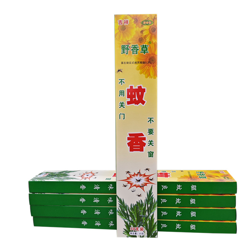 大瑶山草药吉祥野香草野外驱蚊香