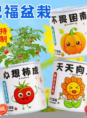 儿童DIY种植小盆栽 室内桌面绿植花罐头种子盆栽办公室易拉罐盆栽