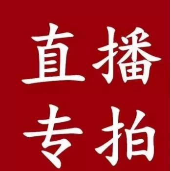 直播间一物一拍兰花 春兰建兰墨兰蕙兰大花蕙兰莲瓣兰春剑