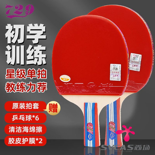 友谊729儿童初学用四星乒乓球拍