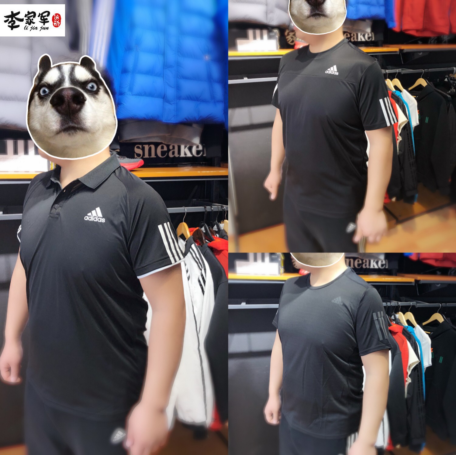 Ïļ¾ÄÐ×ÓÔ˶¯ÐÝÏÐÐ͸ñ¶ÌÐäTÐô AO2691 AJ1544 BP7430