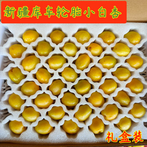 新疆库车小白杏轮胎杏子新鲜水果