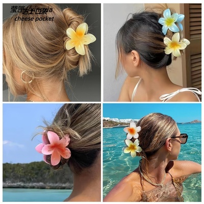 鸡蛋花抓夹发饰女2025新款