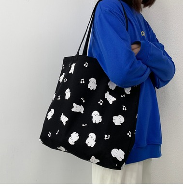 帆布包女上课大学生单肩包小众设计感大容量ins韩风手提帆布袋