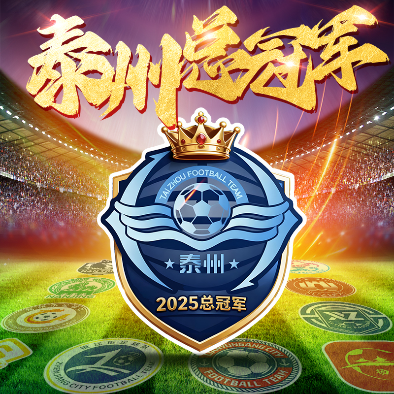 2025江苏省城市足球联赛泰州总冠军足球队徽logo磁性汽车车贴纸