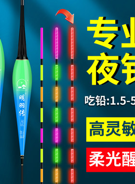 神眸纳米冷光尾夜光漂