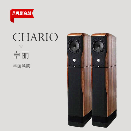 chario大昌行货世代发烧hifi音箱