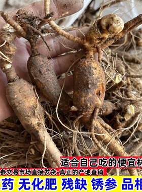 长白山林下参山参籽货老池底锈参东北残缺便宜新鲜人参煲汤泡酒