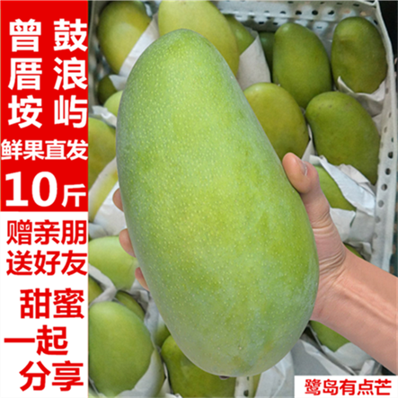 廈門大青芒金煌芒甜心青皮芒果10斤包郵新鮮水果海南臺灣壞果包賠