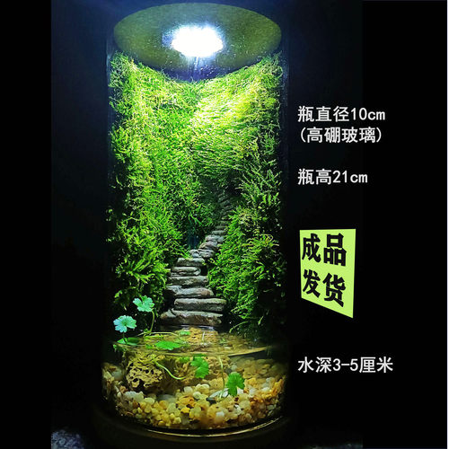 与石景致生态瓶易养解压微景观