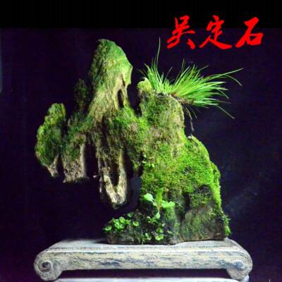 吸水吴定石手工精雕菖蒲苔藓附石