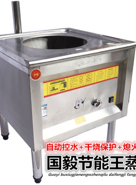 国毅燃气方管节能王蒸炉电蒸汽炉盘管波纹管煤气蒸汽炉肠粉机商用
