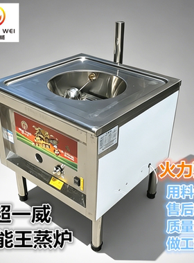 节能王蒸炉方形燃气带风机