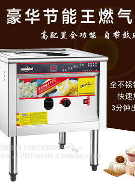 泓锋天然气无风机商用蒸包炉