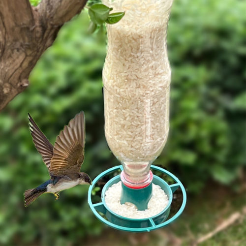 跨境爆款户外花园Bottle Top Bird Feeder塑料可乐瓶悬挂喂鸟器