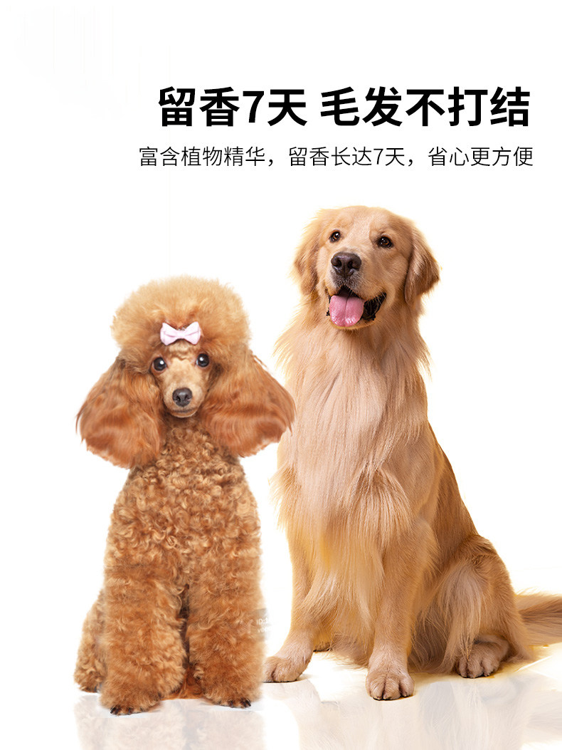 去除狗狗身上的味道臭味异味宠物狗狗去味道小奶狗除臭剂比熊泰迪