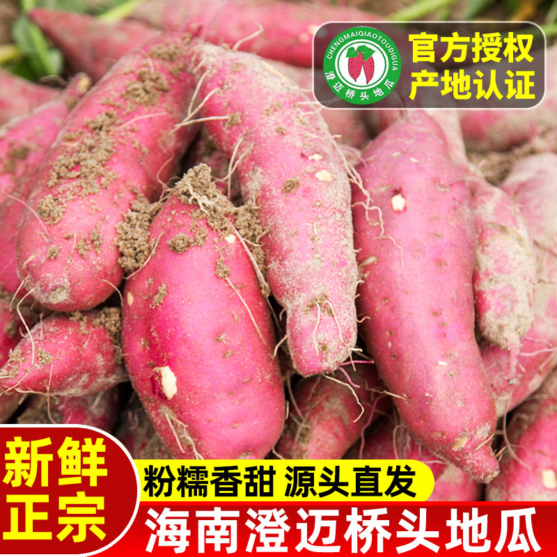 正宗海南澄迈桥头红薯 新鲜富硒地瓜板栗薯黄心番薯鸣门金时红薯