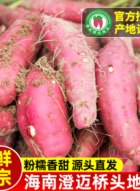 正宗海南澄迈桥头红薯 新鲜富硒地瓜板栗薯黄心番薯鸣门金时红薯