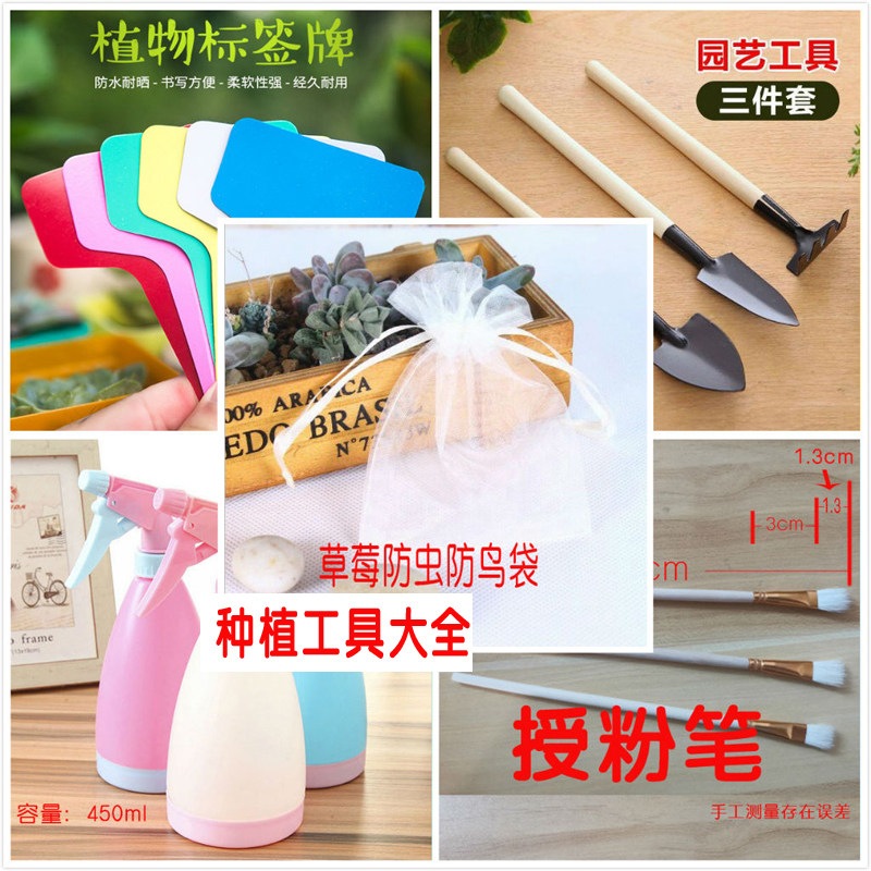 草莓授粉笔果树授粉笔防虫防鸟纱网袋多肉园艺标签洒水壶小工具套