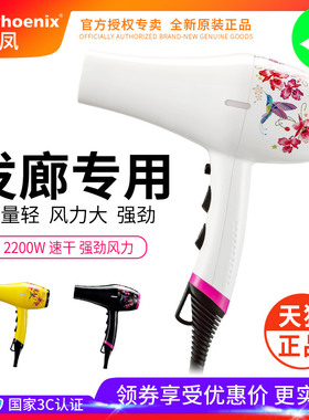 火之凤电吹风机发廊59002200w