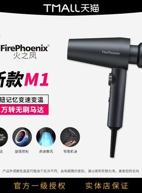 火之凤吹风机M1理发店专用发型师发廊大功率大风速干高速无刷风筒