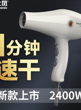 火之凤吹风机8960H发型师专用大功率理发店发廊大风力速干新款