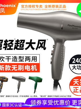 火之凤电吹风机理发店专用发型师大功率发廊家用速干风筒正品5610