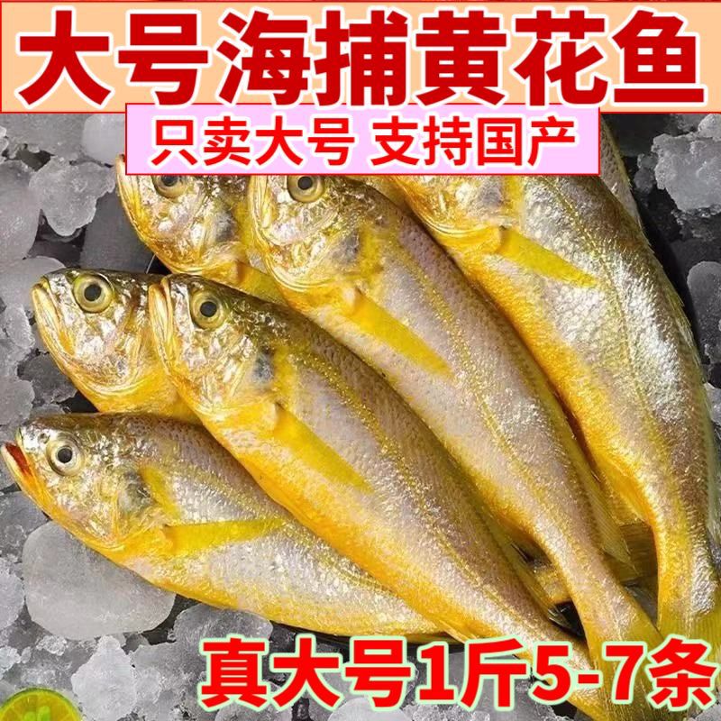 黄花鱼无冰深海鱼新鲜冷冻海鲜