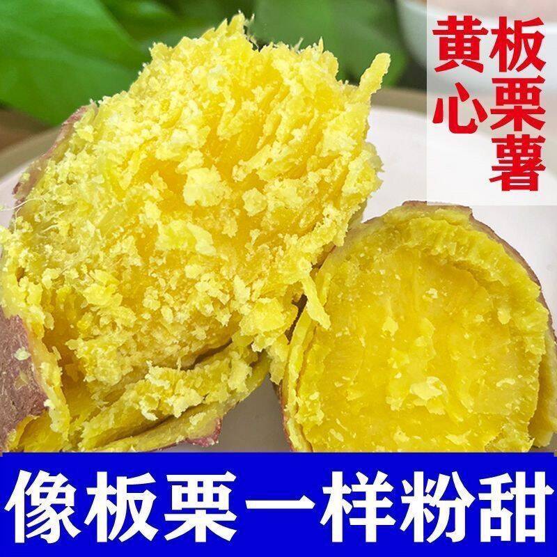 9斤瓦房店地瓜闫店板栗红薯蜜薯基薯26番薯老品种东北地瓜粉糯甜
