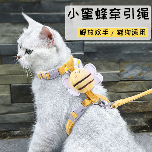 猫咪牵引绳防挣脱外出专用