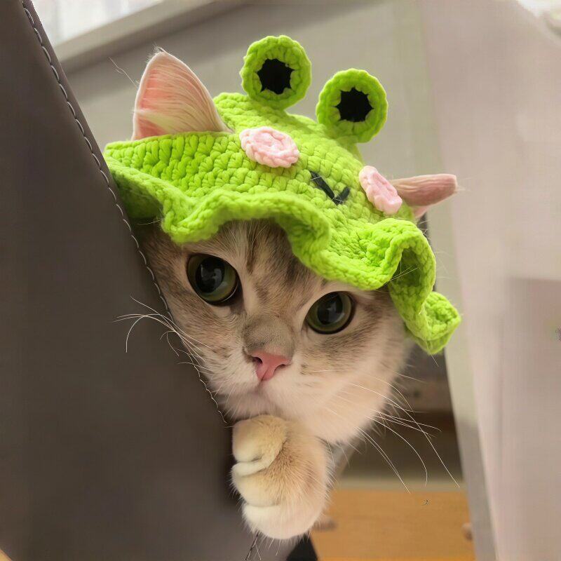 小青蛙猫咪毛线帽冬季可爱宠物头套装扮搞笑宠物针织冬帽蜜蜂头饰