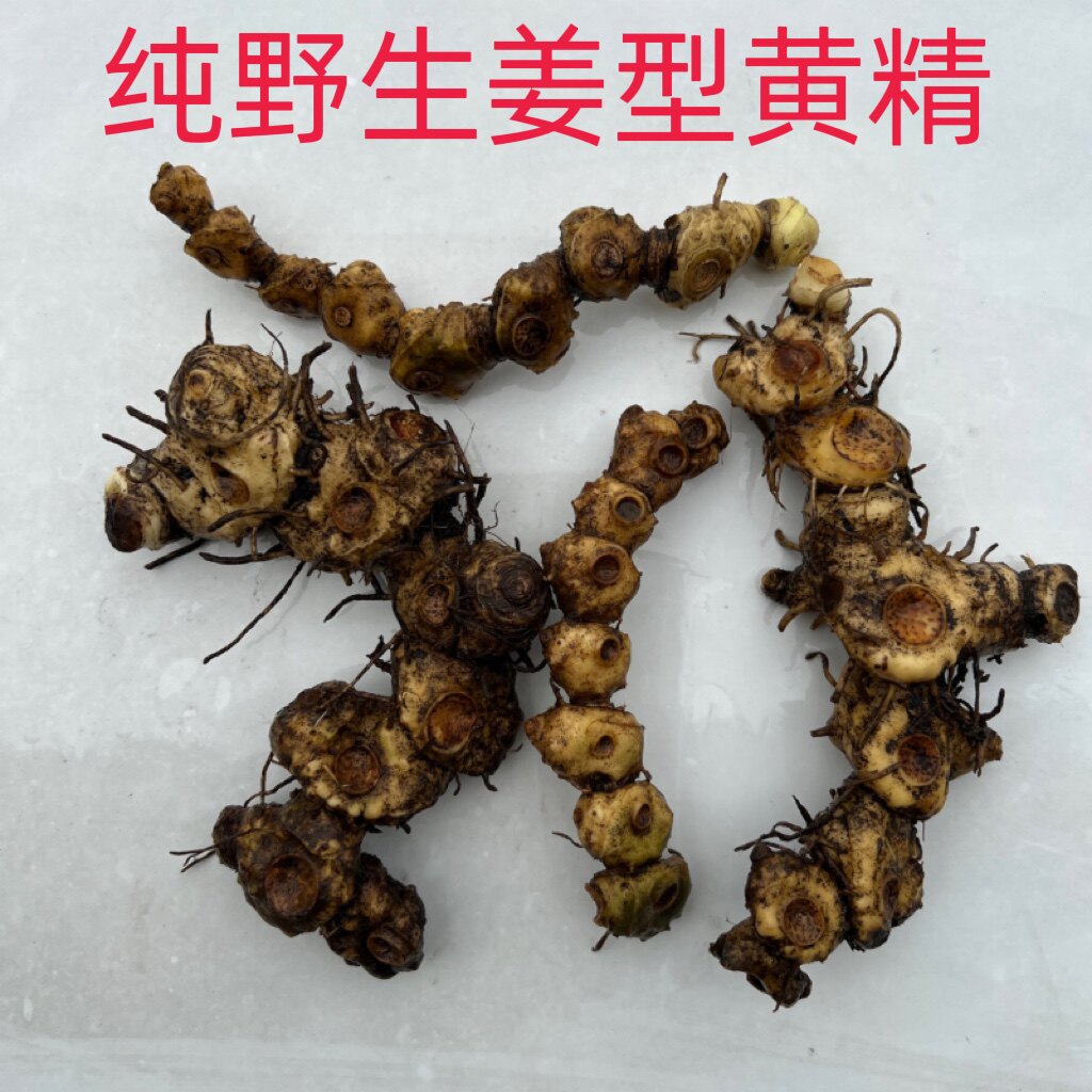 精选纯野生黄精保质保量保证野生多花姜型甜黄精非鸡头黄精