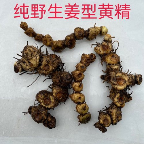 精选纯野生黄精保质保量保证野生多花姜型甜黄精非鸡头黄精