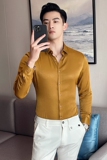四季款男多色长袖衬衫英伦时尚轻奢品质衬衣修身款个性款BF26，男装衬衫，星座419（原A233）