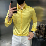 四季款男长袖衬衫社会风纯色衬衣轻熟印花上衣常年款BF32，男装衬衫，星座419（原A233）