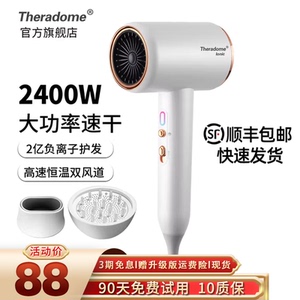 Theradome发廊吹风机家用大功率理发店负离子静音冷热风电吹风筒