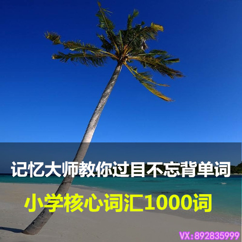 小學英語主題核心詞匯大全1000詞分類記憶速記視頻輔導培訓教程學