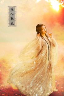 漢服出租 美人夜來人間鬼話之溯金齊胸襦裙 漢錦記