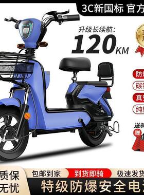 新国标电动车电动自行车锂电池电瓶车双人代步车小型家用助力车