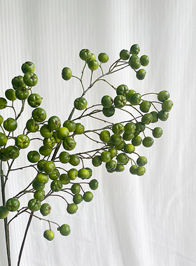 密度家居仿真秋色绿色海棠果绿植果实花艺装饰花材家居装饰品假花