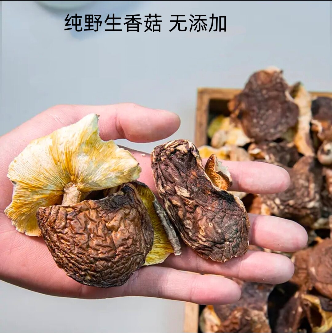 纯野生香菇干货无硫天然自晒广西正宗椴木小香信菌菇薄皮蘑菇250g