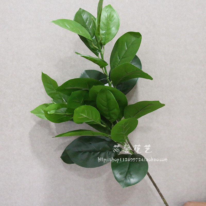柚子叶仿真假叶子橘子叶菠萝蜜室内客厅插花摆件绿植装饰玉兰叶