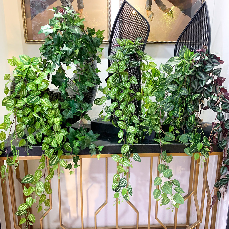 常春藤仿真咖啡厅植物墙