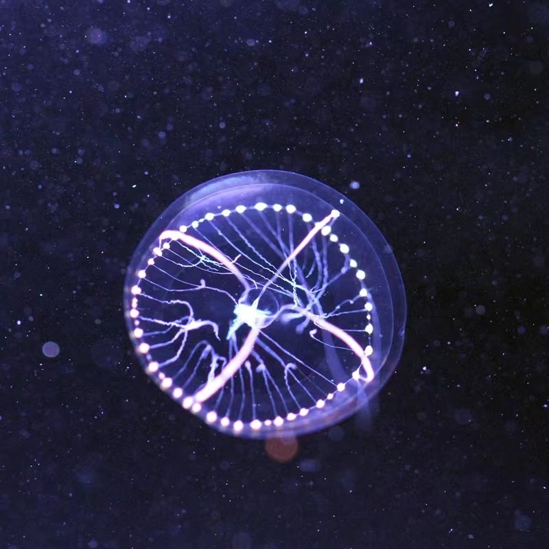 水晶皇冠奇异水母灯塔稀有海洋生物夏天宠物桌面学生高温宠物