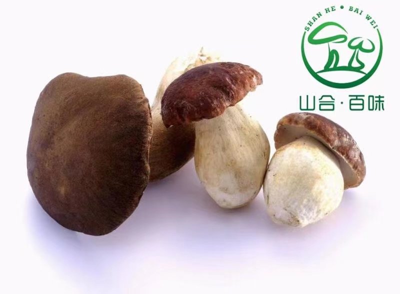 山合74百味云南速冻野生菌菇 美胃牛肝1千克 顺丰冷链江浙沪包邮